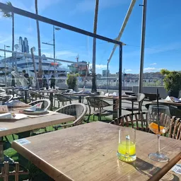 Amigos Muelle Uno - Restaurante Indio Mexicano - India