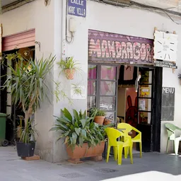 Asociación Cultural Gastronómica Vegana La Mandrágora - Vegetariana y Vegana