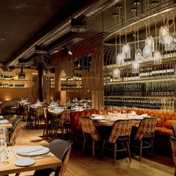 Bilbao Berria Ledesma - Vasca