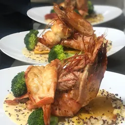 Cevitxef Bilbao - Peruana