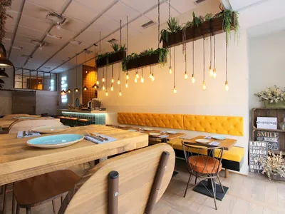 Circo Alicante - Americana in Alicante