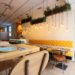 Circo Alicante - Americana