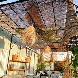 El Disparate - Mediterránea