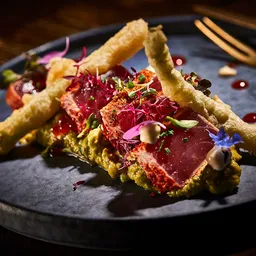 Japo Santa Catalina Adults Ony +9 - Fusión