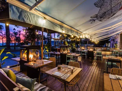 La Caña - Mediterránea in Palma de Mallorca