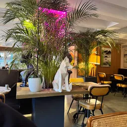 PASQUAL+SHEILA | Plaza de la Reina - Mediterránea