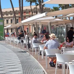 Restaurante Mediterraneum - Alicante