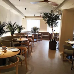 Saona Casino - Mediterránea