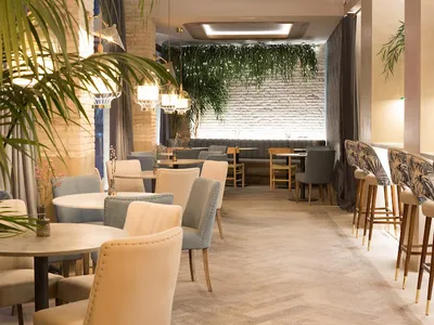 Saona TAGOMAGO Valencia - Mediterránea in Valencia