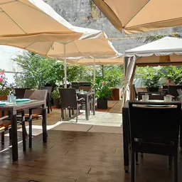 #Treestory - Europea