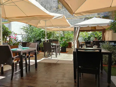 #Treestory - Europea in Lisbon